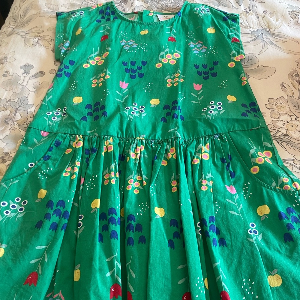 Girls Hanna Andersson Dress Green Floral Size 130 (8)